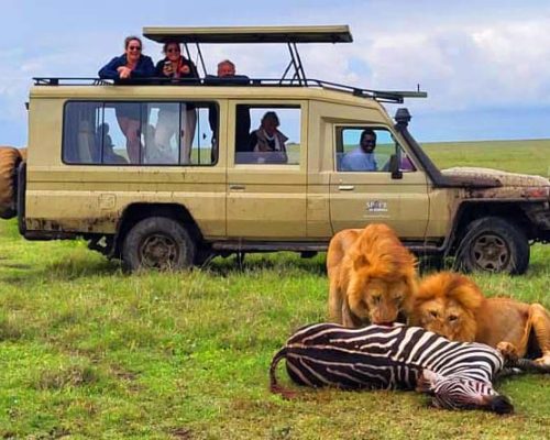 Tanzania Safari - 02A