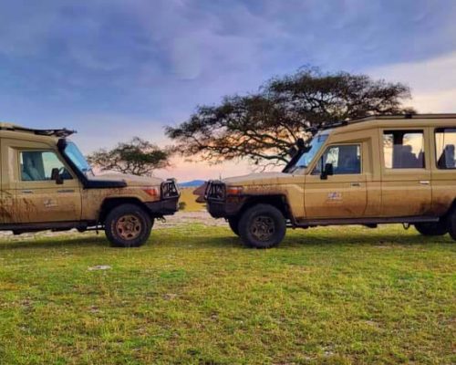 Tanzania Safari - 13